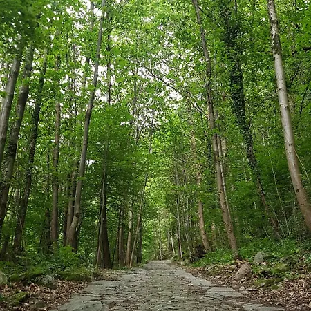 Di Machaby Хостел *