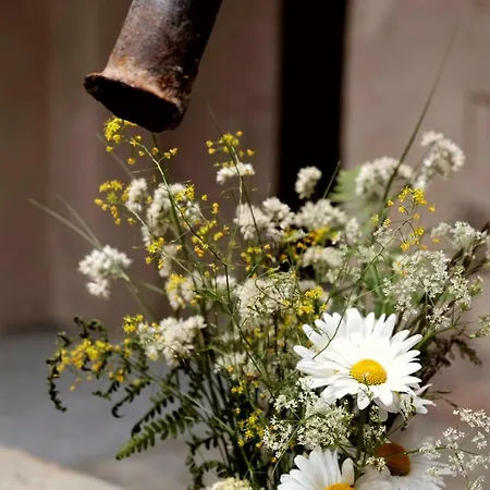 Хостел Di Machaby