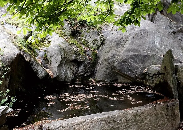 Di Machaby بيت شباب *