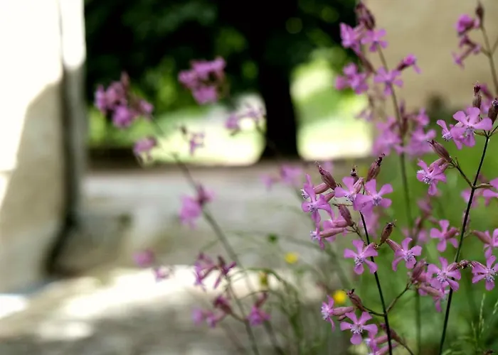 Hostel Di Machaby Arnad